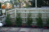 Fencing