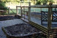 Raised Beds_3