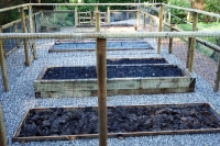 Raised Beds_4